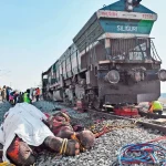 India Express Train Kills Seven Elephants
