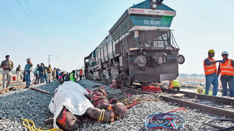 India Express Train Kills Seven Elephants